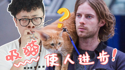 吸猫使人进步